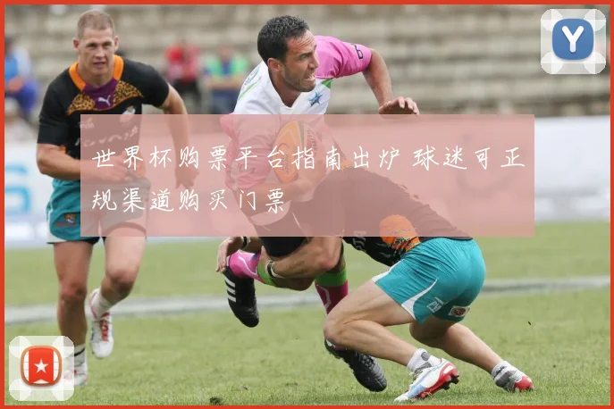 世界杯购票平台指南出炉 球迷可正规渠道购买门票