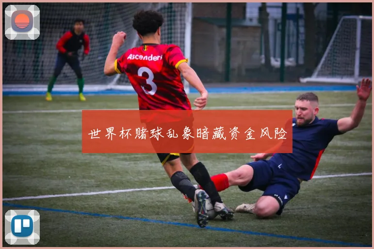 世界杯赌球乱象暗藏资金风险