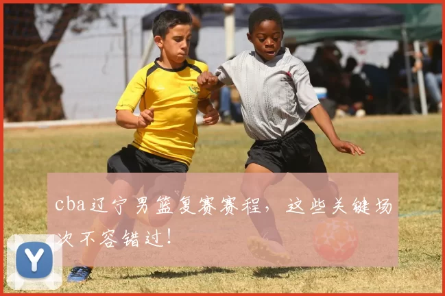 cba辽宁男篮复赛赛程,这些关键场次不容错过!